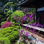 お知らせのテストです